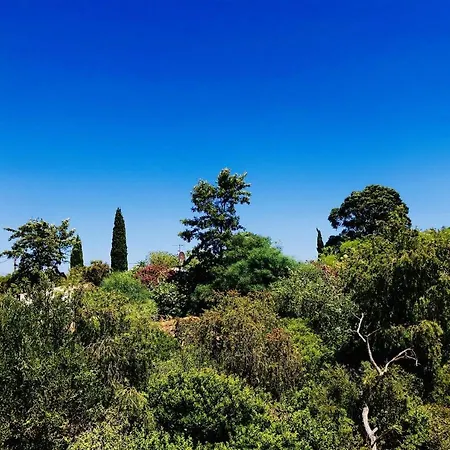 Alamos Retreat - Wellness & Yoga Boutique Bed & Breakfast 3*